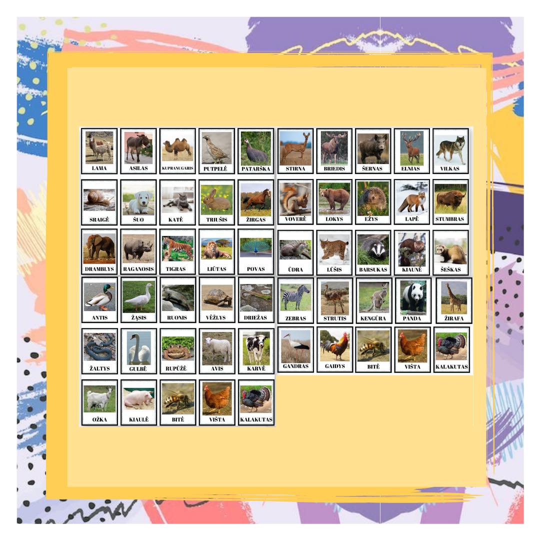 GYVŪNAI kortelės - Šuolis Debesyse